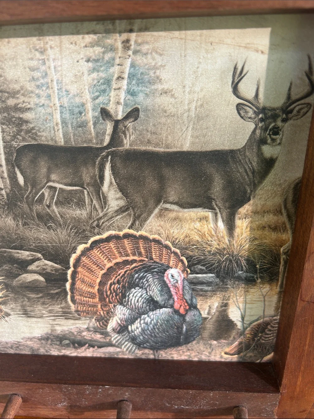 Vintage Framed Wildlife Wall Art with Pegs